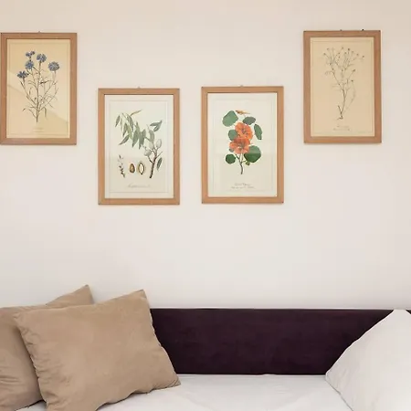 Large And Bright Located In Piazza Del Colosseo